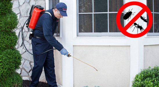 Tuşba Kemirgen İlaçlama böcek ilaçlama ve haşere kontrolü — ilaclama-tr.com